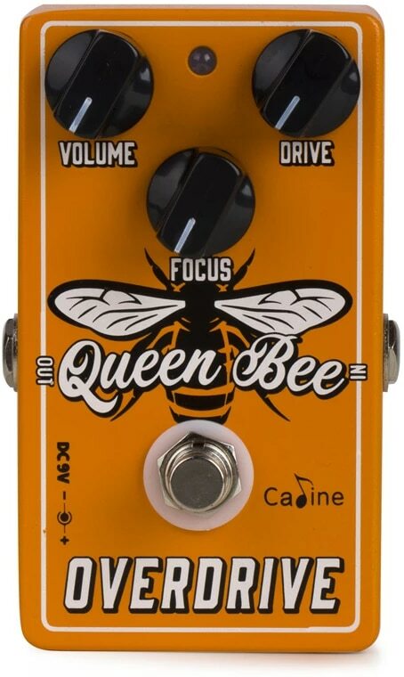 Caline Cp503 Queen Bee Overdrive - Overdrive, distortion & fuzz effect pedal - Main picture