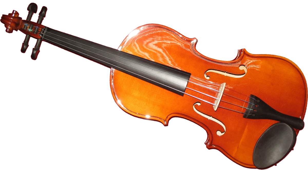 Herald As144-e Violon 4/4 - Acoustic violin - Variation 1
