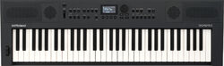 Entertainer keyboard Roland GO:KEYS5-GT