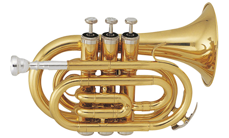 Sml Tp50 De Poche Sib Vernie - Trumpet of study - Variation 1