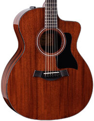 Folk guitar Taylor 224ce Plus Special Edition - Natural gloss top